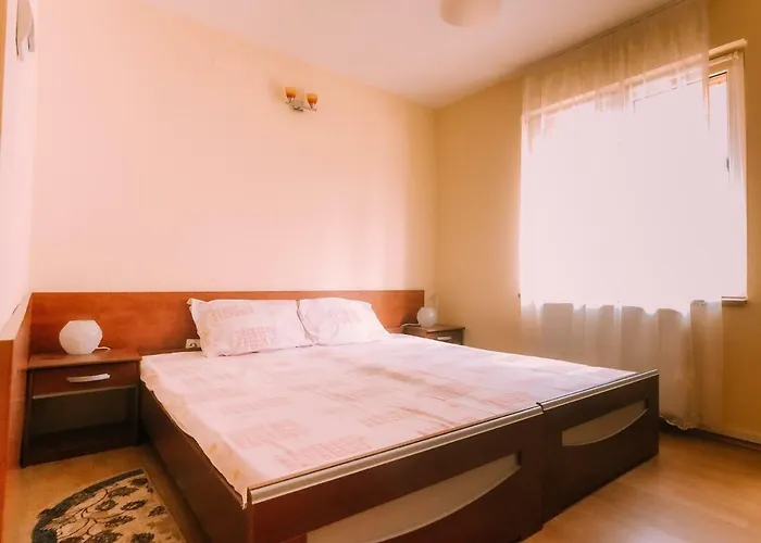 Spacious Apartment Near Peles