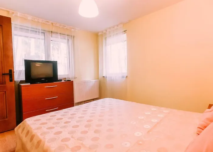 Spacious Apartment Near Peles