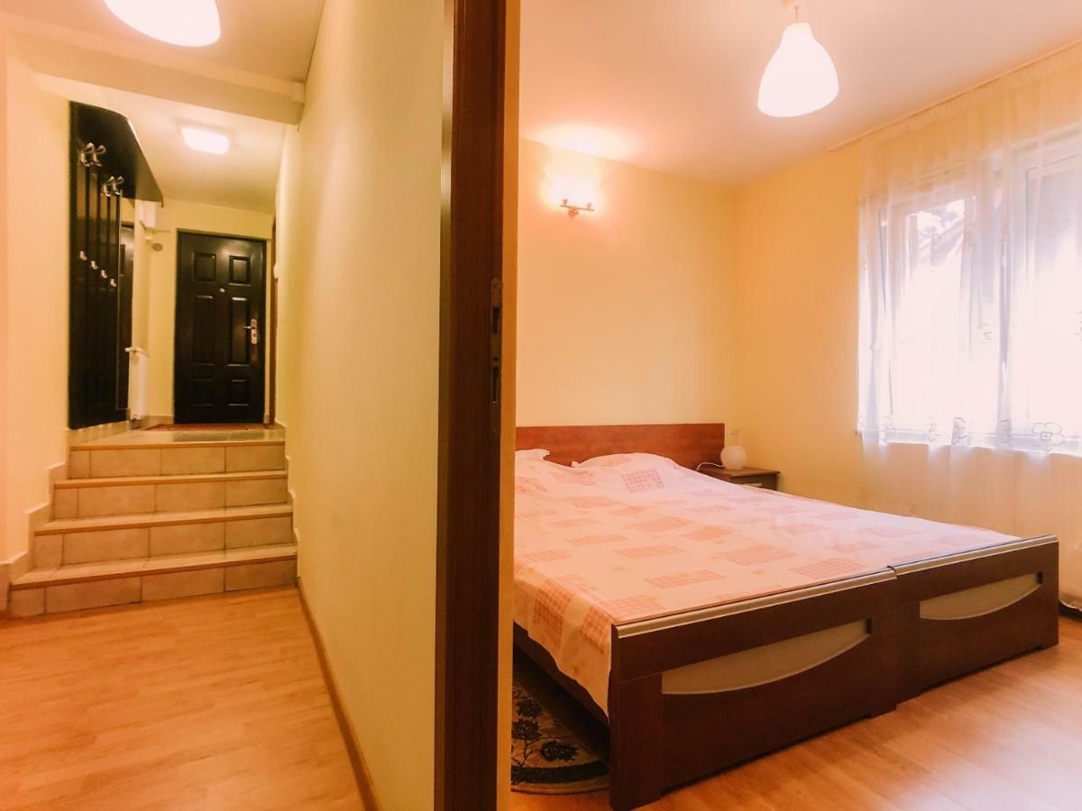 Spacious Near Peles Apartment *