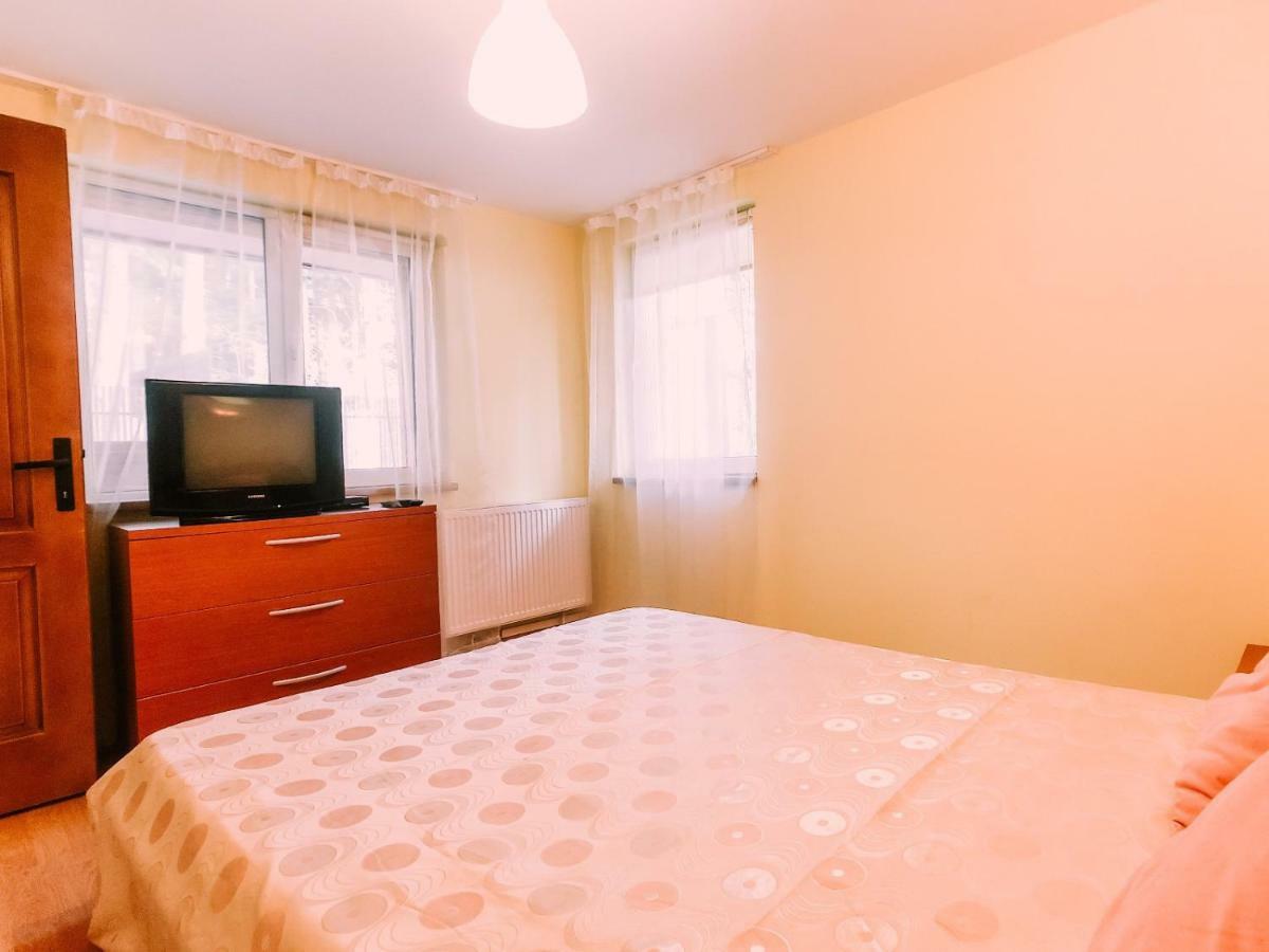 Spacious Near Peles